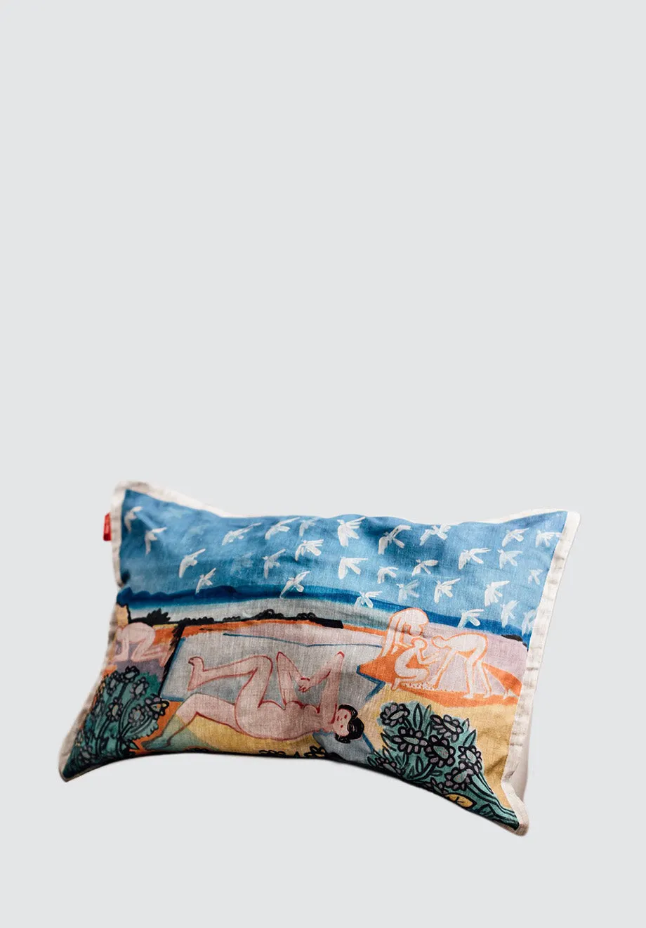 Atlantic Coast America Cushion Cover